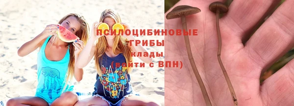 мяу мяу кристалл Армянск